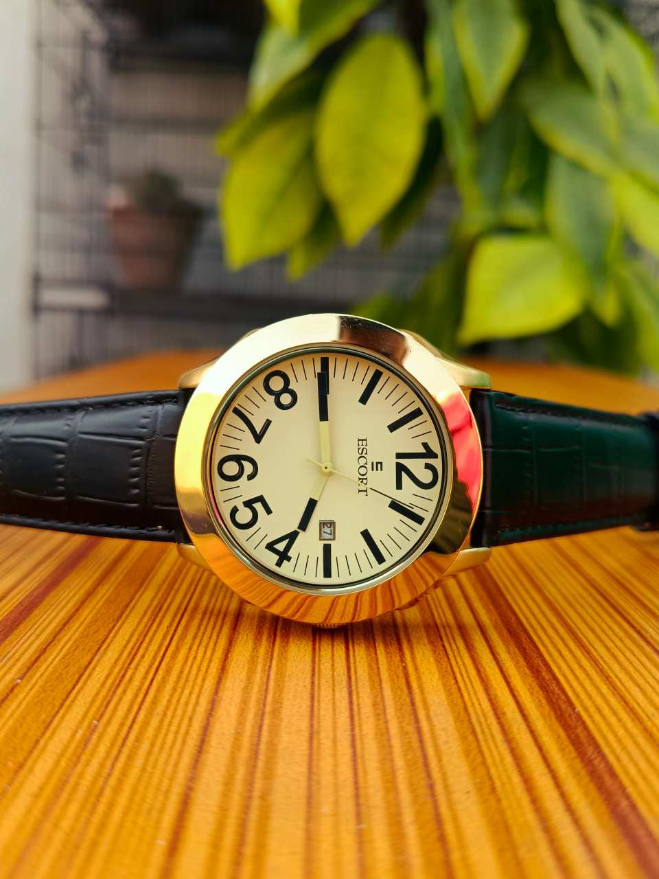 Escort Men’s Analog Watch Gold-Plated Case with Black Leather Strap